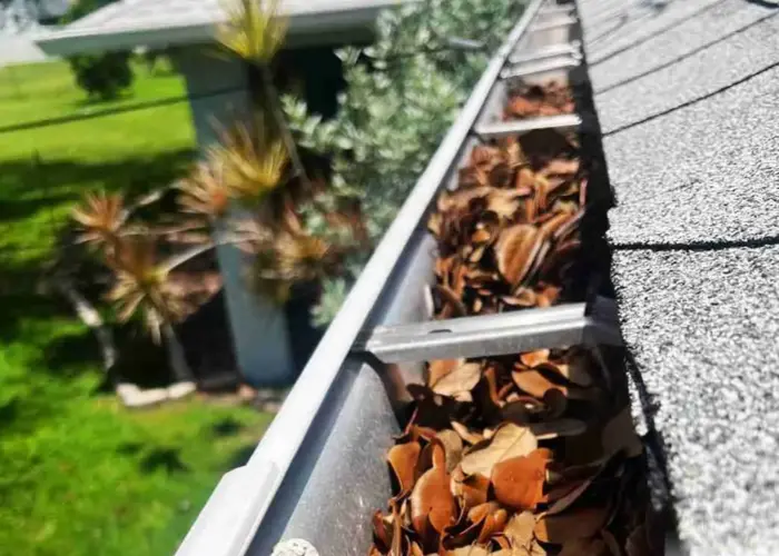 Springfield gutter cleaning home page